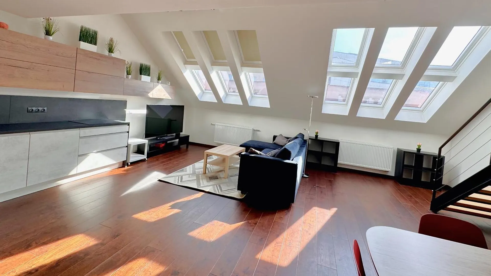 Loft Jecna 43, Prague contacts